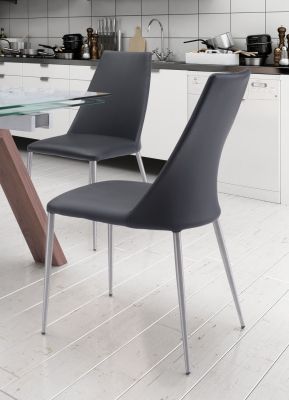 Aiden Dining Chair ( Set of 2 - Black)