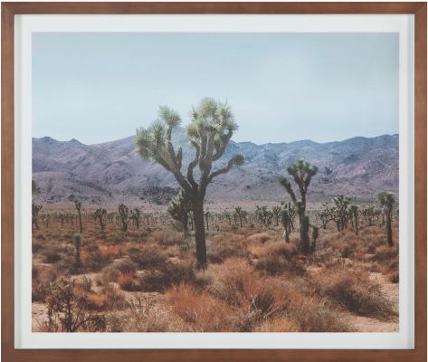 Desert Painting (Desert Land Framed Print)