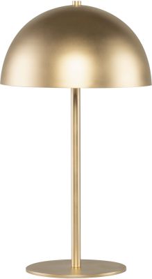 Rocio Table Lamp (Gold with Gold Body)
