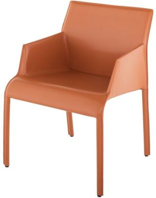Delphine Dining Chair (Armrests - Ochre Leather)