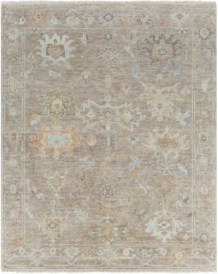 Antalya Rug 2301 (Brown & Sage - 2' x 3')