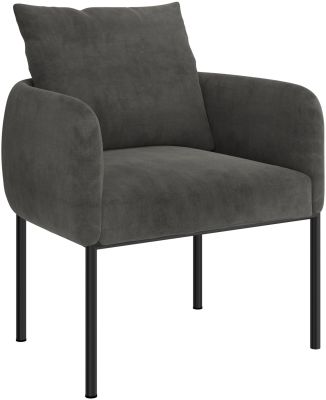 Petrie Accent Chair (Charcoal & Black Leg)